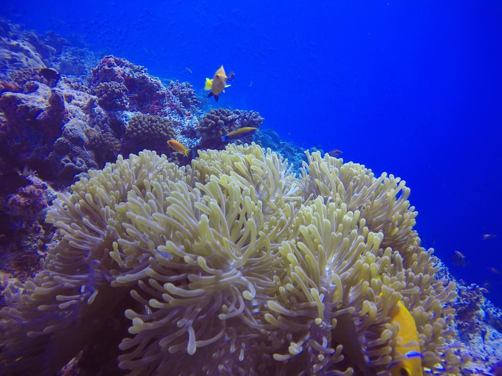 Holiday Home Rasdhoo Luaran gambar
