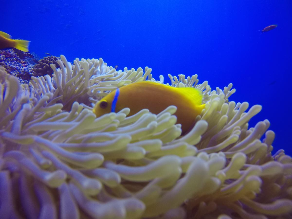 Holiday Home Rasdhoo Luaran gambar