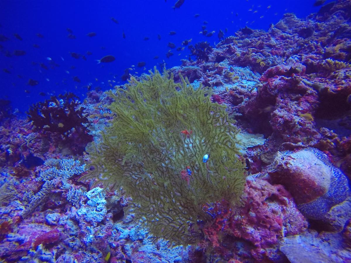 Holiday Home Rasdhoo Luaran gambar