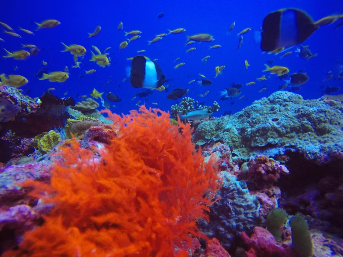 Holiday Home Rasdhoo Luaran gambar