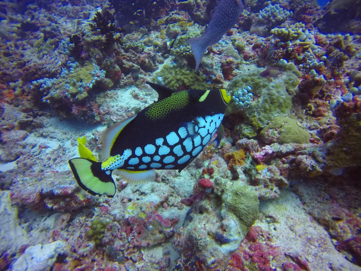 Holiday Home Rasdhoo Luaran gambar